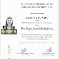 Ampliar imagen: certificate 1