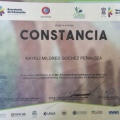 Ampliar imagen: certificate 14