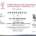Ampliar imagen: certificate 28