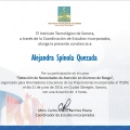Ampliar imagen: certificate 14