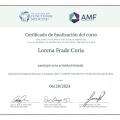 Ampliar imagen: certificate 5