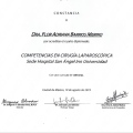 Ampliar imagen: certificate 2