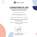 Ampliar imagen: certificate 3