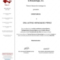 Ampliar imagen: certificate 3
