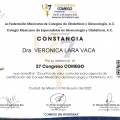 Ampliar imagen: certificate 16