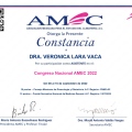 Ampliar imagen: certificate 5