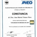Ampliar imagen: certificate 25
