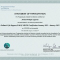 Ampliar imagen: certificate 2