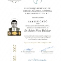 Ampliar imagen: certificate 1