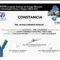 Ampliar imagen: certificate 4