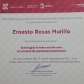 Ampliar imagen: certificate 6
