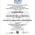 Ampliar imagen: certificate 2