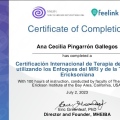 Ampliar imagen: certificate 4