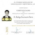 Ampliar imagen: certificate 4