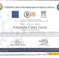 Ampliar imagen: certificate 2