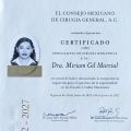 Ampliar imagen: certificate 1