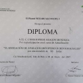 Ampliar imagen: certificate 13