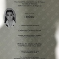 Ampliar imagen: certificate 4