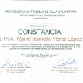 Ampliar imagen: certificate 11