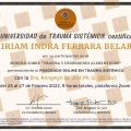 Ampliar imagen: certificate 14