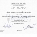 Ampliar imagen: certificate 7
