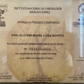 Ampliar imagen: certificate 33