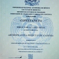 Ampliar imagen: certificate 7