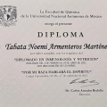Ampliar imagen: certificate 6