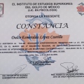 Ampliar imagen: certificate 1