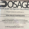 Ampliar imagen: certificate 9