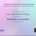 Ampliar imagen: certificate 6