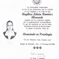 Ampliar imagen: certificate 34