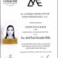 Ampliar imagen: certificate 1