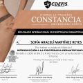 Ampliar imagen: certificate 5