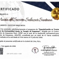 Ampliar imagen: certificate 1