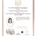 Ampliar imagen: certificate 1