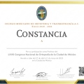 Ampliar imagen: certificate 7