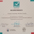 Ampliar imagen: certificate 2