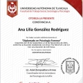 Ampliar imagen: certificate 7