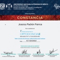 Ampliar imagen: certificate 3