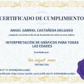 Ampliar imagen: certificate 8
