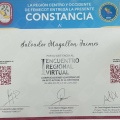 Ampliar imagen: certificate 19