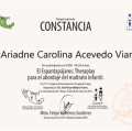 Ampliar imagen: certificate 11