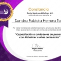 Ampliar imagen: certificate 2