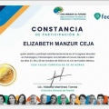 Ampliar imagen: certificate 9