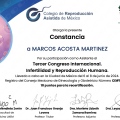 Ampliar imagen: certificate 12
