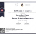 Ampliar imagen: certificate 7