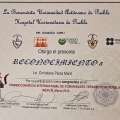 Ampliar imagen: certificate 18
