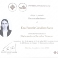 Ampliar imagen: certificate 4