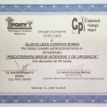 Ampliar imagen: certificate 13